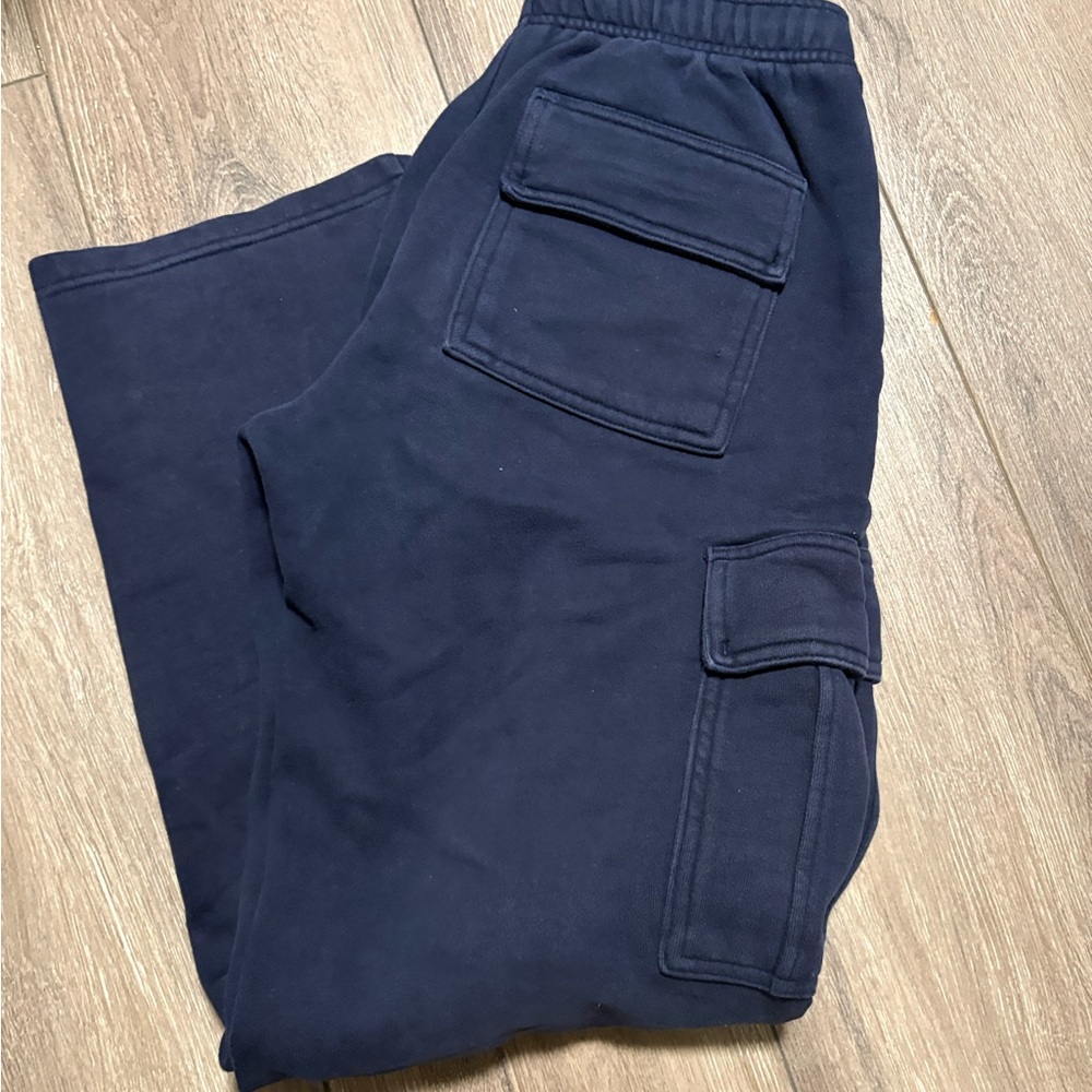 Aritzia Dark Blue Cargo Pants